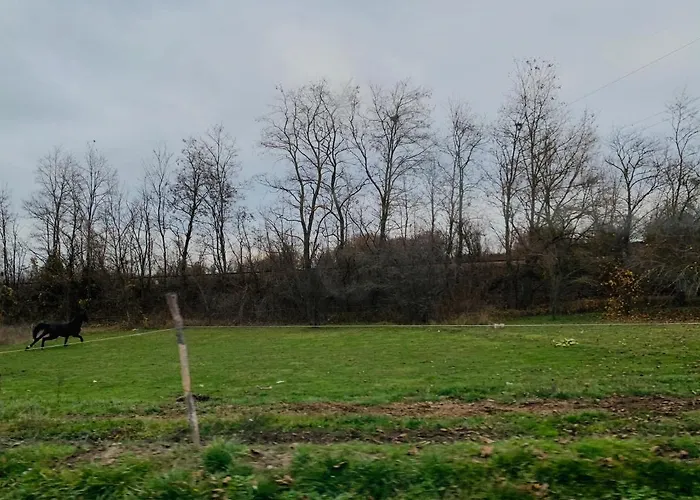 شقة ★ Stylish & Cozy In Valentina Heights Boutique ★