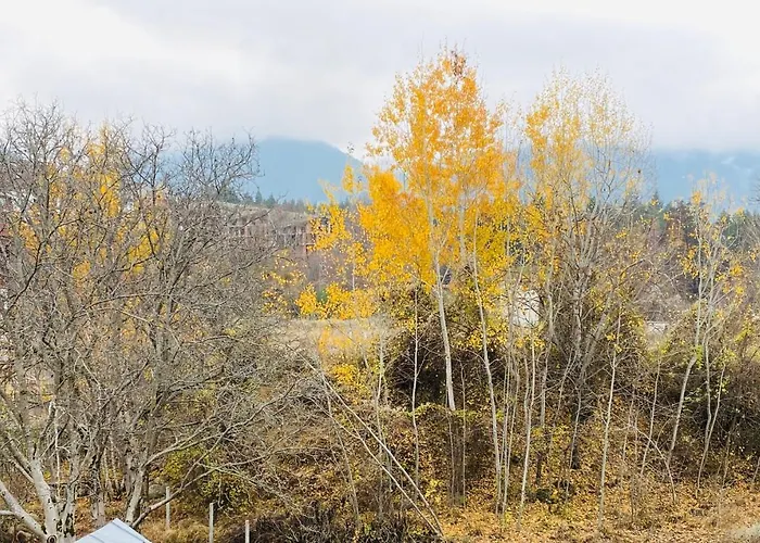 ★ Stylish & Cozy In Valentina Heights Boutique ★ アパート *